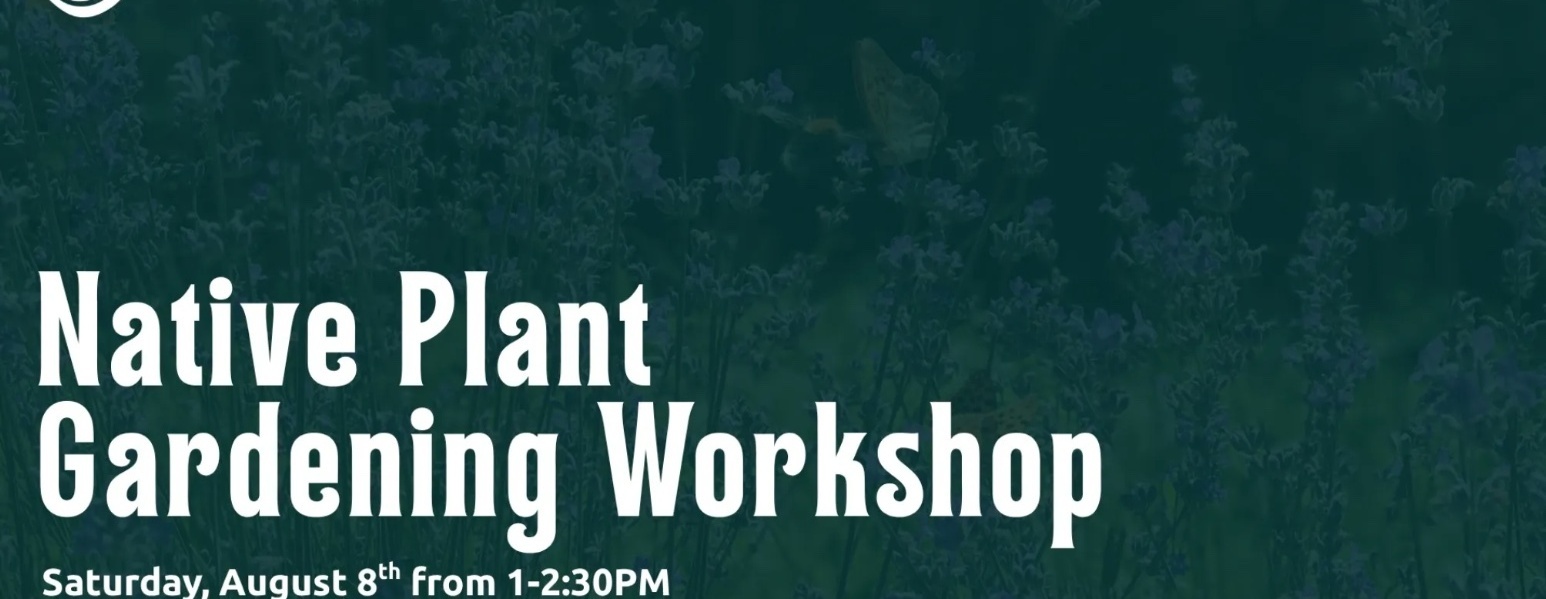 2026 Native Plant Gardening